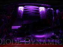 RGBW Engine Bay Strip Kit 4pc Multicolor Diode Dynamics