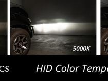 HID Bulb D6A 5000K Pair Diode Dynamics