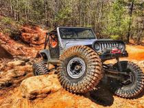 Traps 17 Inch DIY Beadlock Kit Motobilt